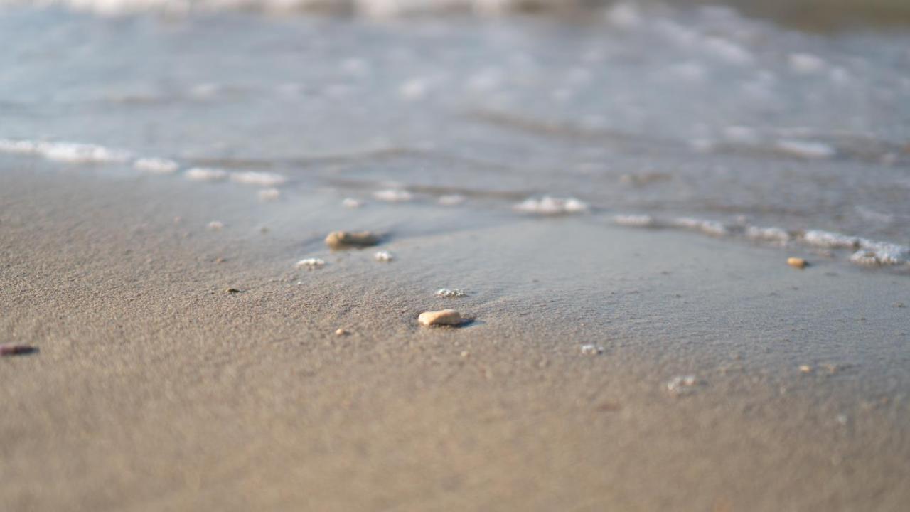 Villa Dea - Dein Rueckzugsort Am Meer Mit Beheiztem Pool Vrsi Luaran gambar